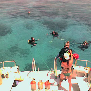 Christmas Tree Cave photo