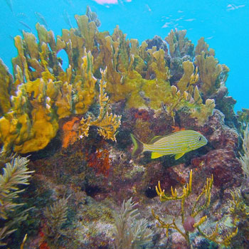 North Dry Rocks photo