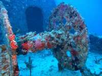 Great day of scuba diving in Key Largo with Rainbow Reef on spiegel grove tropical odyssey 2014 06 12 r367 1