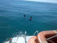Great day of scuba diving in Key Largo with Rainbow Reef on conch pillars tropical adventure 2014 03 08 r186 1
