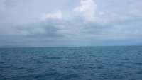 Great day of scuba diving in Key Largo with Rainbow Reef on pickles reef tropical odyssey 2014 11 26 r995 1