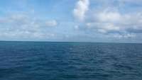 Great day of scuba diving in Key Largo with Rainbow Reef on sand island tropical adventure 2014 10 04 r844 1