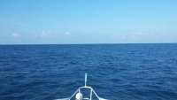 Great day of scuba diving in Key Largo with Rainbow Reef on sand island tropical odyssey 2014 10 01 r839 1