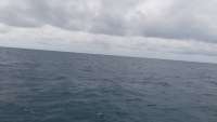Great day of scuba diving in Key Largo with Rainbow Reef on spanish anchor tropical odyssey 2014 10 23 r910 1