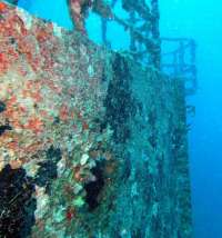 Great day of scuba diving in Key Largo with Rainbow Reef on spiegel grove tropical odyssey 2014 10 28 r924 1