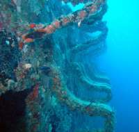 Great day of scuba diving in Key Largo with Rainbow Reef on spiegel grove tropical odyssey 2014 10 28 r924 3