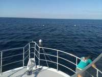 Great day of scuba diving in Key Largo with Rainbow Reef on spiegel grove tropical odyssey 2014 10 30 r930 1