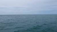 Great day of scuba diving in Key Largo with Rainbow Reef on benwood wreck tropical voyager 2014 09 13 r776 1