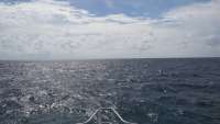 Great day of scuba diving in Key Largo with Rainbow Reef on snapper ledge tropical odyssey 2014 09 26 r819 1