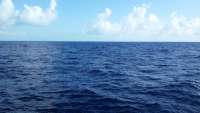 Great day of scuba diving in Key Largo with Rainbow Reef on molasses reef tropical adventure 2015 04 16 r1411 1