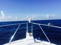 Great day of scuba diving in Key Largo with Rainbow Reef on permit ledges tropical explorer 2015 04 10 r1384 1