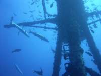 Great day of scuba diving in Key Largo with Rainbow Reef on uscgc duane tropical explorer 2015 08 04 r1846 1