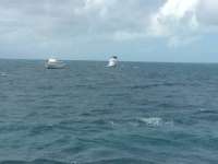 Great day of scuba diving in Key Largo with Rainbow Reef on winch hole tropical odyssey 2015 12 06 r2343 2