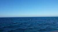 Great day of scuba diving in Key Largo with Rainbow Reef on fire coral cave tropical adventure 2015 02 15 r1209 1