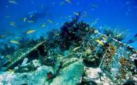 Great day of scuba diving in Key Largo with Rainbow Reef on city of washington tropical odyssey 2015 07 07 r1724 3