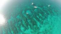Great day of scuba diving in Key Largo with Rainbow Reef on molasses reef tropical adventure 2015 07 07 r1723 1