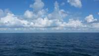 Great day of scuba diving in Key Largo with Rainbow Reef on snapper ledge tropical odyssey 2015 07 03 r1707 1