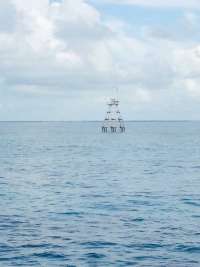 Great day of scuba diving in Key Largo with Rainbow Reef on molasses reef tropical adventure 2015 06 20 r1641 1