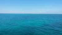 Great day of scuba diving in Key Largo with Rainbow Reef on conch wall tropical adventure 2015 03 18 r1289 1
