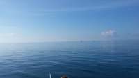 Great day of scuba diving in Key Largo with Rainbow Reef on molasses reef tropical odyssey 2015 03 20 r1298 1