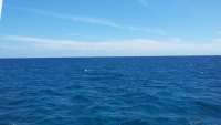 Great day of scuba diving in Key Largo with Rainbow Reef on permit ledges tropical adventure 2015 03 29 r1338 1