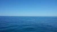 Great day of scuba diving in Key Largo with Rainbow Reef on molasses reef tropical odyssey 2015 05 06 r1470 1