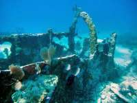 Great day of scuba diving in Key Largo with Rainbow Reef on city of washington tropical odyssey 2015 11 10 r2269 2