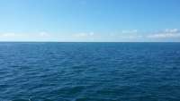 Great day of scuba diving in Key Largo with Rainbow Reef on eagle ray alley tropical odyssey 2015 11 11 r2272 1