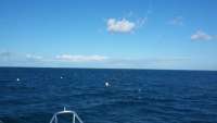 Great day of scuba diving in Key Largo with Rainbow Reef on spiegel grove tropical adventure 2015 10 04 r2101 1