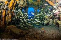 Great day of scuba diving in Key Largo with Rainbow Reef on uscgc duane tropical explorer 2015 10 01 r2095 2