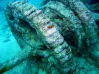 Great day of scuba diving in Key Largo with Rainbow Reef on hole in the wall tropical odyssey 2015 09 21 r2042 2