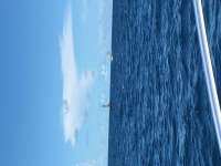 Great day of scuba diving in Key Largo with Rainbow Reef on conch wall tropical explorer 2016 06 01 r2867 1