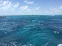 Great day of scuba diving in Key Largo with Rainbow Reef on molasses reef tropical legend 2017 04 03 r4064 1