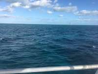 Great day of scuba diving in Key Largo with Rainbow Reef on sand island tropical explorer 2017 01 04 r3701 1