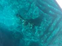 Great day of scuba diving in Key Largo with Rainbow Reef on christ statue tropical odyssey 2017 03 13 r3960 1
