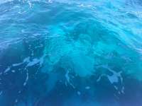 Great day of scuba diving in Key Largo with Rainbow Reef on eagle ray alley tropical legend 2017 03 16 r3968 1