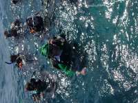 Great day of scuba diving in Key Largo with Rainbow Reef on north star tropical adventure 2017 03 17 r3979 1