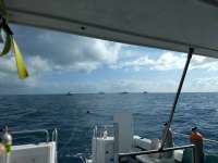 Great day of scuba diving in Key Largo with Rainbow Reef on spiegel grove tropical explorer 2018 04 10 r5783 1