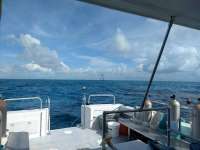 Great day of scuba diving in Key Largo with Rainbow Reef on conch wall tropical explorer 2018 08 24 r6925 1