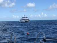 Great day of scuba diving in Key Largo with Rainbow Reef on molasses reef tropical destiny 2018 08 18 r6871 1
