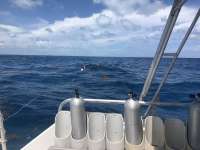 Great day of scuba diving in Key Largo with Rainbow Reef on woodys santana 2018 08 29 r6956 1