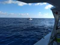 Great day of scuba diving in Key Largo with Rainbow Reef on french reef tropical legend 2018 12 16 r7614 1