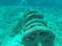 Great day of scuba diving in Key Largo with Rainbow Reef on molasses reef tropical legend 2018 12 29 r7663 1