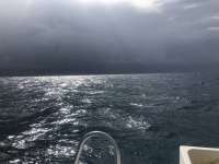 Great day of scuba diving in Key Largo with Rainbow Reef on winch hole tropical serenity 2018 07 31 r6705 1
