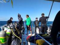 Great day of scuba diving in Key Largo with Rainbow Reef on spiegel grove tropical explorer 2018 03 24 r5671 1