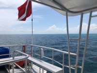 Great day of scuba diving in Key Largo with Rainbow Reef on fire coral cave tropical odyssey 2018 05 08 r5934 1