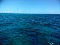 Great day of scuba diving in Key Largo with Rainbow Reef on molasses deep santana 2018 11 25 r7535 1