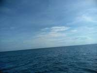 Great day of scuba diving in Key Largo with Rainbow Reef on permit ledges tropical legend 2018 11 05 r7422 1