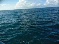 Great day of scuba diving in Key Largo with Rainbow Reef on permit ledges tropical serenity 2018 11 25 r7537 1