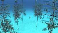 Great day of scuba diving in Key Largo with Rainbow Reef on winch hole tropical legend 2018 11 24 r7523 1